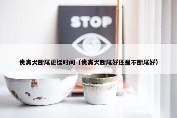 贵宾犬断尾更佳时间（贵宾犬断尾好还是不断尾好）