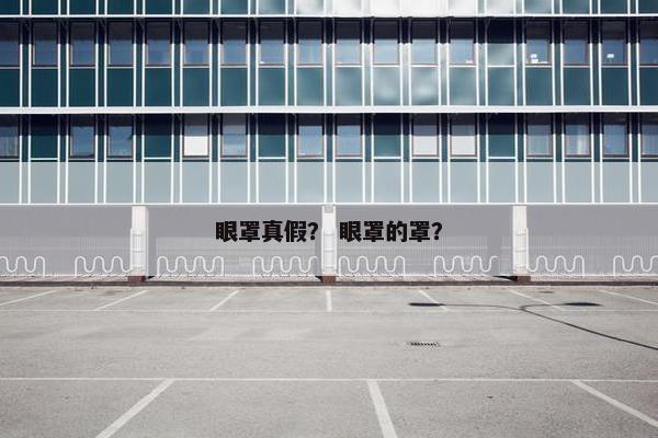 眼罩真假？ 眼罩的罩？