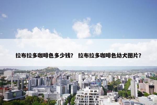 拉布拉多咖啡色多少钱？ 拉布拉多咖啡色幼犬图片？