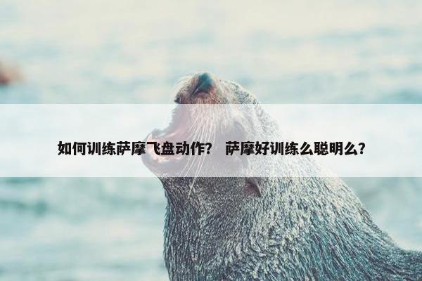 如何训练萨摩飞盘动作？ 萨摩好训练么聪明么？