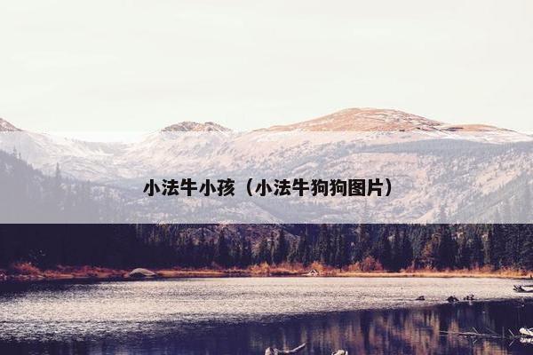 小法牛小孩（小法牛狗狗图片）