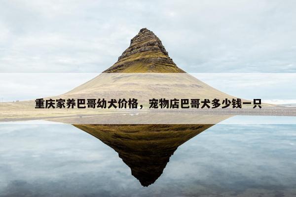 重庆家养巴哥幼犬价格，宠物店巴哥犬多少钱一只