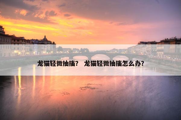 龙猫轻微抽搐？ 龙猫轻微抽搐怎么办？