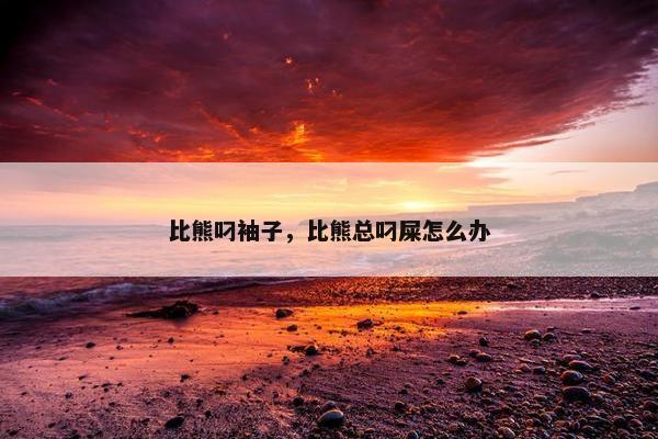 比熊叼袖子，比熊总叼屎怎么办