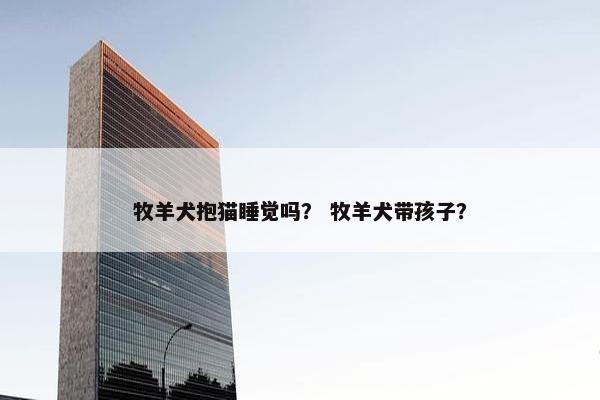 牧羊犬抱猫睡觉吗？ 牧羊犬带孩子？