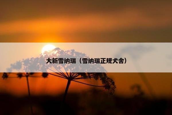 大新雪纳瑞（雪纳瑞正规犬舍）