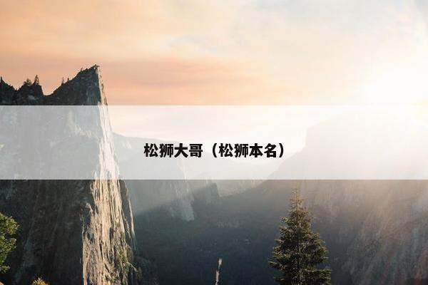 松狮大哥（松狮本名）