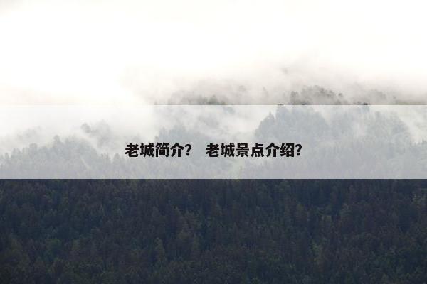老城简介？ 老城景点介绍？