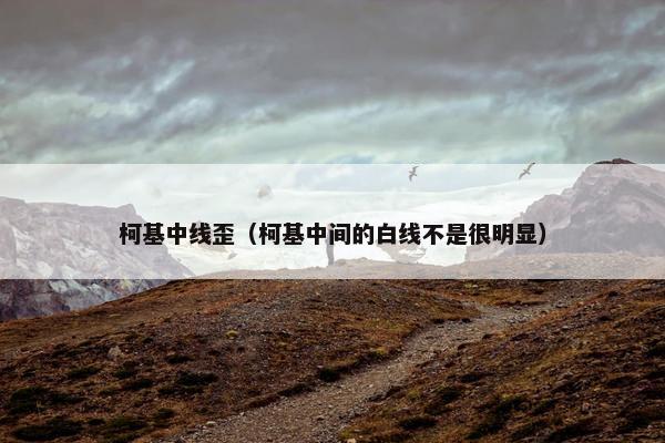 柯基中线歪（柯基中间的白线不是很明显）