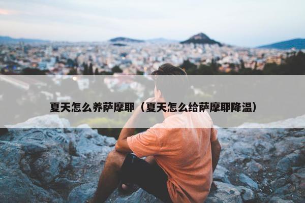 夏天怎么养萨摩耶（夏天怎么给萨摩耶降温）