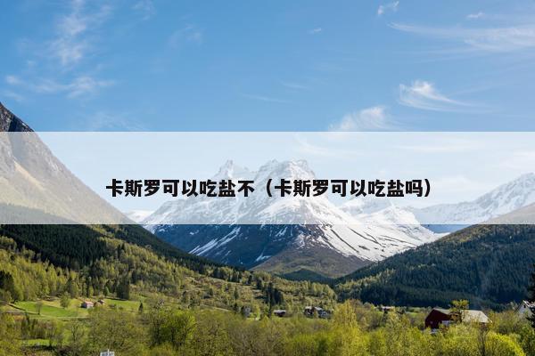 卡斯罗可以吃盐不（卡斯罗可以吃盐吗）