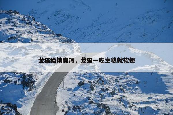 龙猫换粮腹泻，龙猫一吃主粮就软便