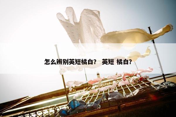 怎么辨别英短橘白？ 英短 橘白？