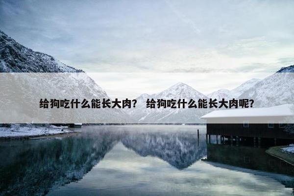 给狗吃什么能长大肉？ 给狗吃什么能长大肉呢？