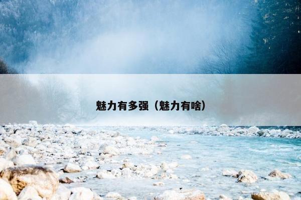 魅力有多强（魅力有啥）