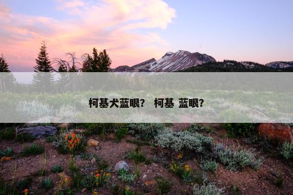 柯基犬蓝眼？ 柯基 蓝眼？