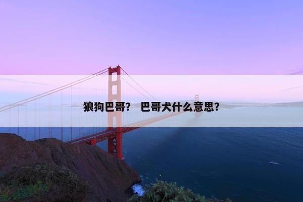狼狗巴哥？ 巴哥犬什么意思？