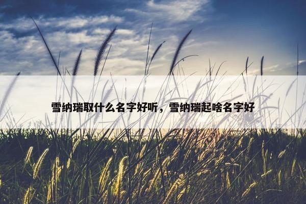 雪纳瑞取什么名字好听，雪纳瑞起啥名字好