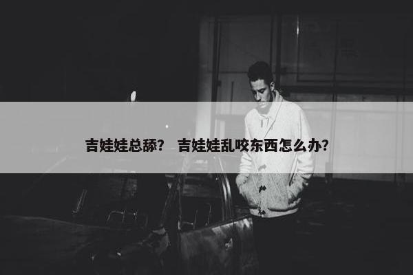 吉娃娃总舔？ 吉娃娃乱咬东西怎么办？