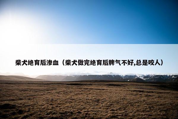 柴犬绝育后渗血（柴犬做完绝育后脾气不好,总是咬人）