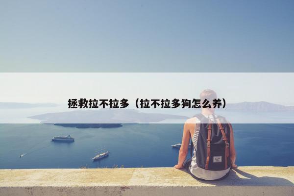 拯救拉不拉多（拉不拉多狗怎么养）