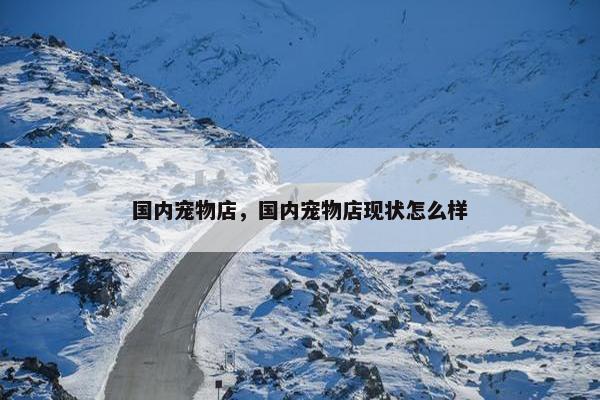 国内宠物店，国内宠物店现状怎么样