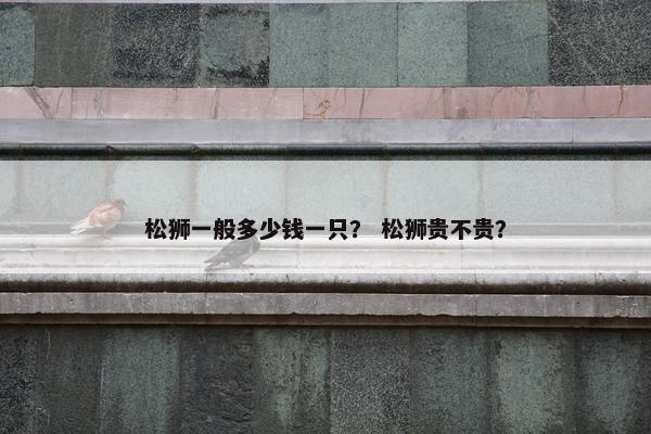 松狮一般多少钱一只？ 松狮贵不贵？