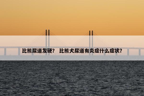 比熊尿道发硬？ 比熊犬尿道有炎症什么症状？