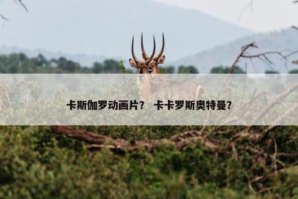 卡斯伽罗动画片？ 卡卡罗斯奥特曼？