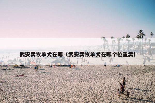 武安卖牧羊犬在哪（武安卖牧羊犬在哪个位置卖）