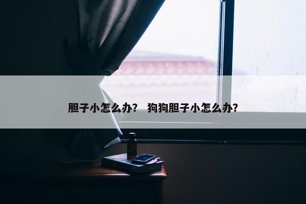 胆子小怎么办？ 狗狗胆子小怎么办？