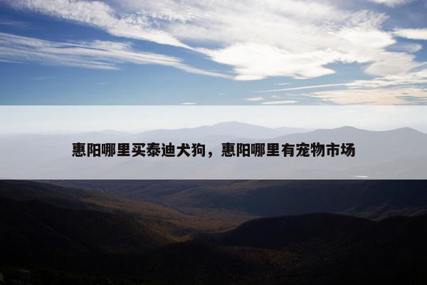 惠阳哪里买泰迪犬狗，惠阳哪里有宠物市场