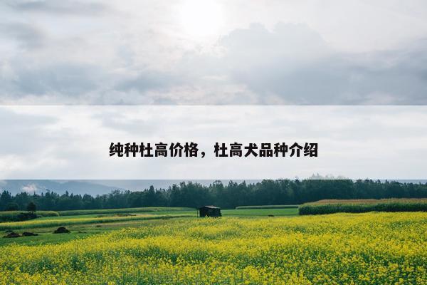 纯种杜高价格，杜高犬品种介绍