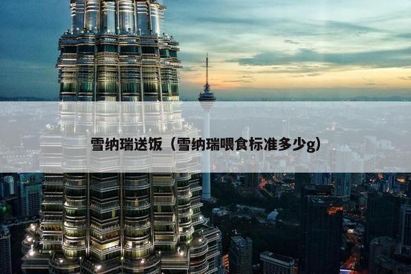 雪纳瑞送饭（雪纳瑞喂食标准多少g）