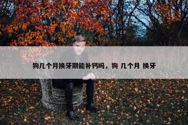 狗几个月换牙期能补钙吗，狗 几个月 换牙