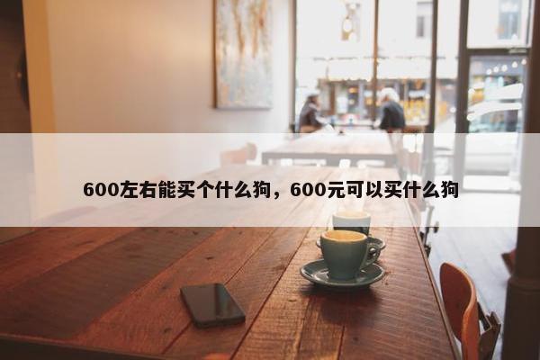 600左右能买个什么狗，600元可以买什么狗
