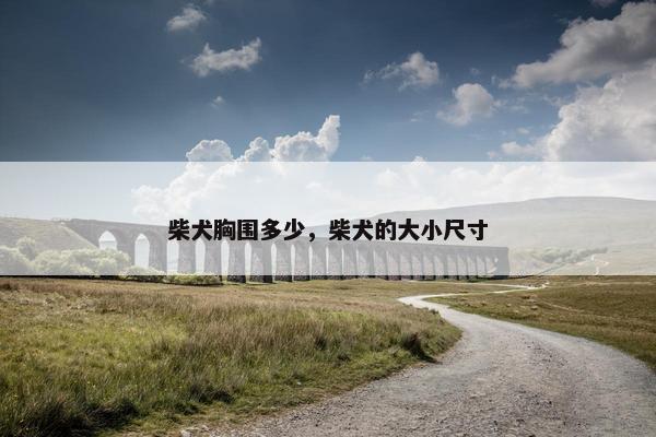 柴犬胸围多少，柴犬的大小尺寸
