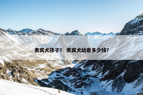 贵宾犬孩子？ 贵宾犬幼崽多少钱？