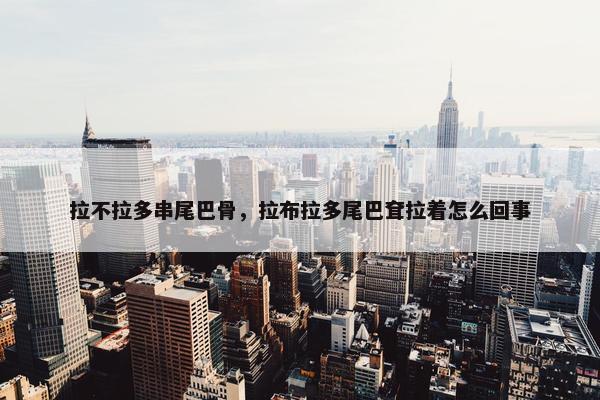 拉不拉多串尾巴骨，拉布拉多尾巴耷拉着怎么回事