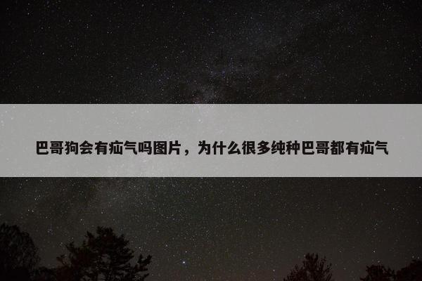 巴哥狗会有疝气吗图片，为什么很多纯种巴哥都有疝气