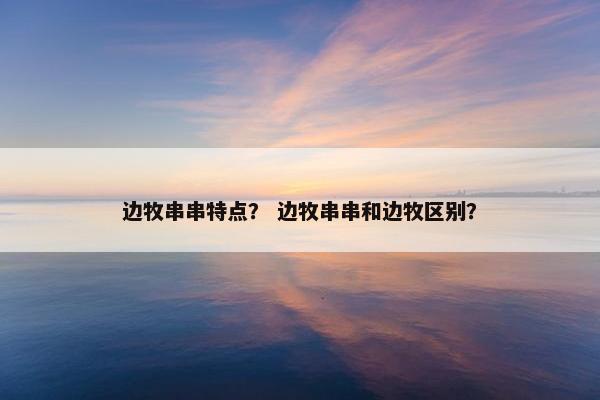 边牧串串特点？ 边牧串串和边牧区别？