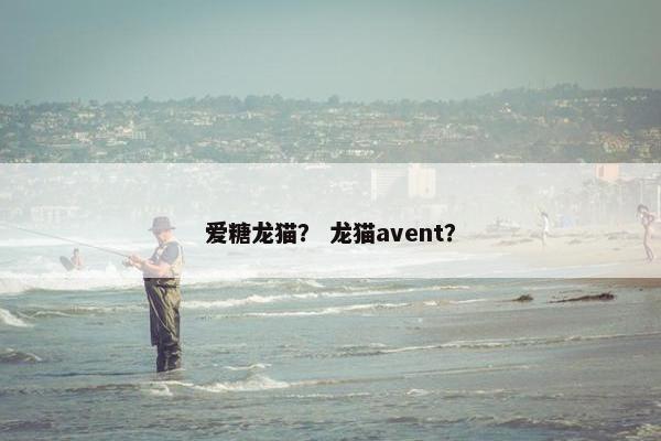 爱糖龙猫？ 龙猫avent？