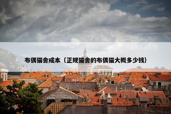 布偶猫舍成本（正规猫舍的布偶猫大概多少钱）