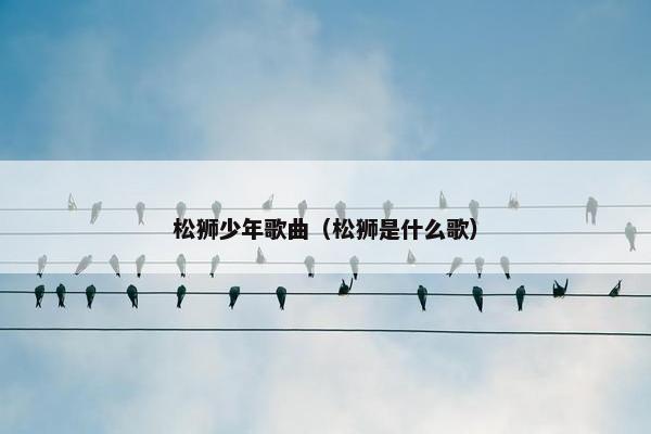松狮少年歌曲（松狮是什么歌）