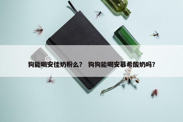狗能喝安佳奶粉么？ 狗狗能喝安慕希酸奶吗？