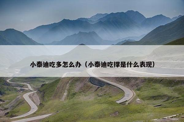 小泰迪吃多怎么办（小泰迪吃撑是什么表现）