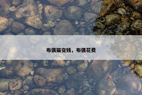 布偶猫交钱，布偶花费