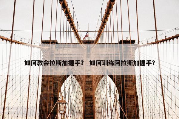 如何教会拉斯加握手？ 如何训练阿拉斯加握手？