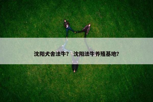 沈阳犬舍法牛？ 沈阳法牛养殖基地？
