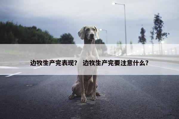 边牧生产完表现？ 边牧生产完要注意什么？